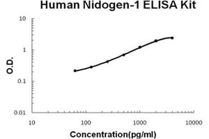 Human Nidogen-1/Entactin/NID-1 PicoKine ELISA Kit standard curve