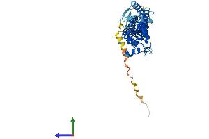 Protein Structure (PS) image for Retinal Outer Segment Membrane Protein 1 (ROM1) (AA 1-351) protein (His tag) (ABIN7563137)