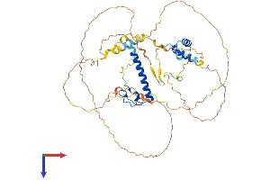 DMRT3 Protein (AA 1-476) (His tag)