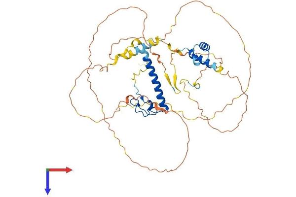 DMRT3 Protein (AA 1-476) (His tag)