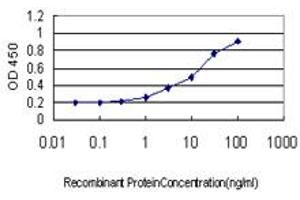 Detection limit for recombinant GST tagged USP47 is approximately 0. (USP47 Antikörper  (AA 203-301))