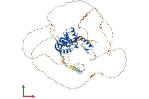 Protein Structure (PS) image for Establishment of Cohesion 1 Homolog 2 (ESCO2) (AA 1-592) protein (His tag) (ABIN7559372)