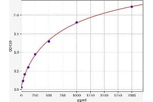 Cyclin D3 ELISA Kit