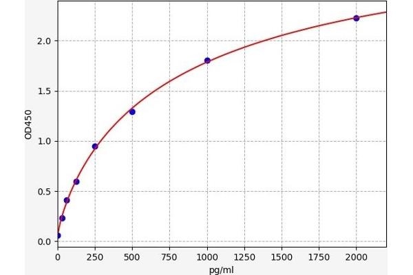 Cyclin D3 ELISA Kit