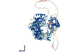 Protein Structure (PS) image for Telomerase Reverse Transcriptase (TERT) (AA 1-1122) protein (His tag) (ABIN7562543)