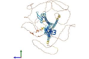 Protein Structure (PS) image for LEM Domain Containing 3 (LEMD3) (AA 1-921) protein (His tag) (ABIN7565214)