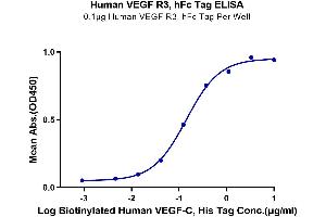 ELISA image for Vascular Endothelial Growth Factor C (VEGFC) (AA 103-227) protein (His-Avi Tag,Biotin) (ABIN7275830)