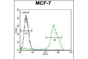 Flow cytometric analysis of MCF-7 cells (right histogram) compared to a negative control cell (left histogram). (RNF19B Antikörper  (AA 369-398))