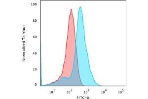 Flow Cytometric Analysis of MeOH-fixed HepG2 cells using Glypican-3 Monoclonal Antibody (1G12) followed by Goat anti- Mouse- IgG-CF488 (Blue); Isotype Control (Red). (Glypican 3 Antikörper  (AA 511-580))