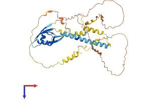 Tamalin/GRASP Protein (AA 1-392) (His tag)