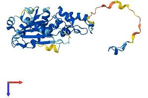 RNASEH2A Protein (AA 1-301) (His tag)