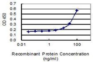 Detection limit for recombinant GST tagged SAR1A is 3 ng/ml as a capture antibody. (SAR1A Antikörper  (AA 1-198))