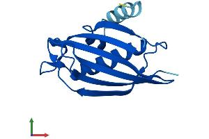 AlphaFold protein structure predicition of Mouse Recombinant Acot13 Protein, UniprotID Q9CQR4
