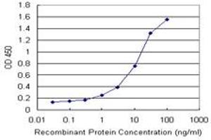 Detection limit for recombinant GST tagged FTL is 1 ng/ml as a capture antibody. (FTL Antikörper)