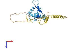 MAGEH1 Protein (AA 1-218) (His tag)