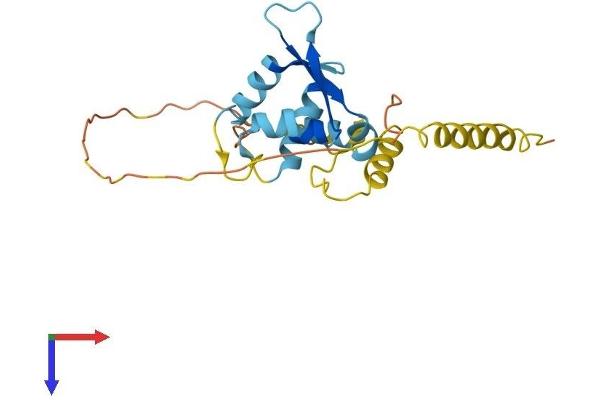 MAGEH1 Protein (AA 1-218) (His tag)