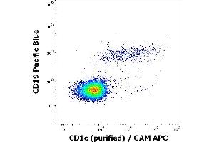 Flow cytometry multicolor surface staining of human lymphocytes stained using anti-human CD1c (L161) purified antibody (concentration in sample 0,33 μg/mL, GAM APC) and anti-human CD19 (LT19) APC antibody (20 μL reagent / 100 μL of peripheral whole blood).