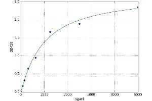 Chaperonin Containing TCP1, Subunit 8 (Theta)-Like 1 (CCT8L1) ELISA Kit