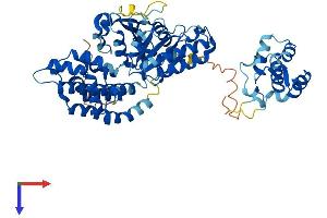 EHD2 Protein (AA 1-543) (His tag)