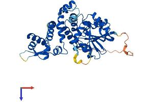 ASMT Protein (AA 1-387) (His tag)