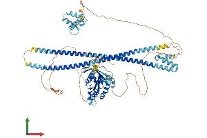 AlphaFold protein structure predicition of Human Recombinant RASEF Protein, UniprotID Q8IZ41