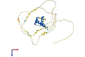 HOXA4 Protein (AA 1-320) (His tag)