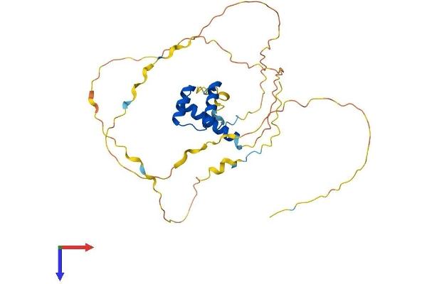 HOXA4 Protein (AA 1-320) (His tag)