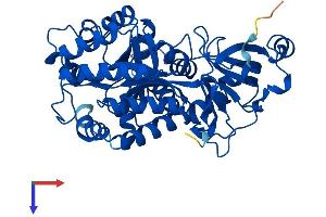 GDA Protein (AA 1-454) (His tag)