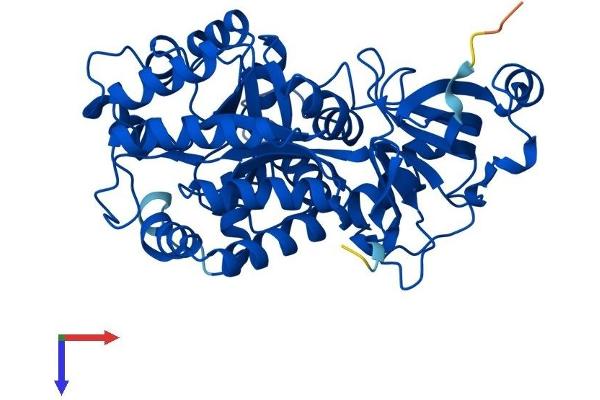 GDA Protein (AA 1-454) (His tag)