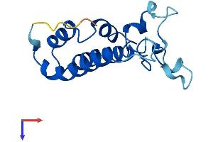 BUD31 Protein (AA 1-144) (His tag)