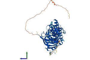 Protein Structure (PS) image for Poly (ADP-Ribose) Polymerase 2 (PARP2) (AA 1-559) protein (His tag) (ABIN7562627)