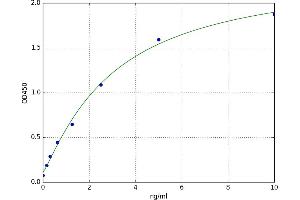 A typical standard curve