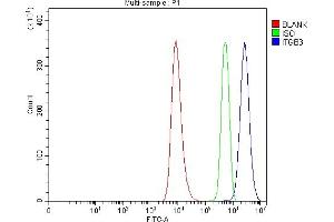 Flow Cytometry analysis of HEL cells using anti-Integrin beta 3/ITGB3 antibody (ABIN7601139). (Integrin beta 3 Antikörper  (AA 29-523))