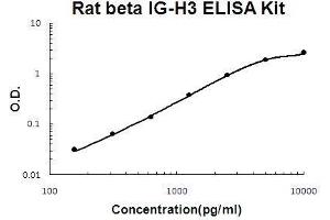Rat beta IG-H3/TGFBI PicoKine ELISA Kit standard curve (TGFBI ELISA Kit)