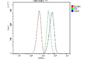 Flow Cytometry analysis of CACO-2 cells using anti-Carbonic Anhydrase 13/CA13 antibody (ABIN7603164). (CA13 Antikörper  (N-Term))