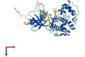 CDK10 Protein (AA 1-360) (His tag)