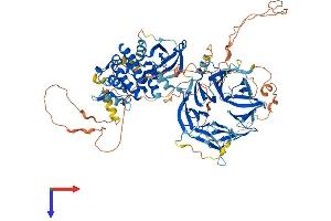 MAP4K3 Protein (AA 1-894) (His tag)