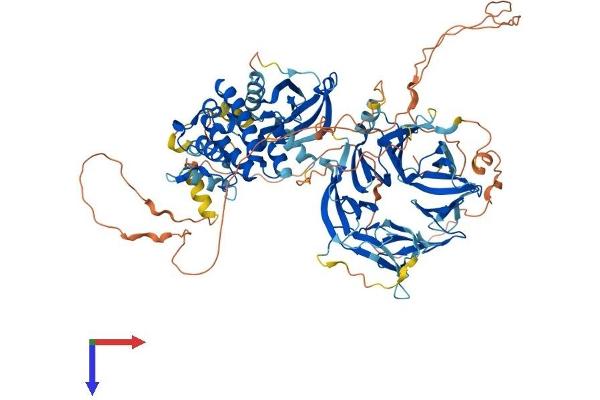 MAP4K3 Protein (AA 1-894) (His tag)
