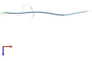 CCDC91 Protein (AA 1-441) (His tag)