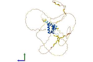Protein Structure (PS) image for Homeobox B3 (HOXB3) (AA 1-433) protein (His tag) (ABIN7562768)