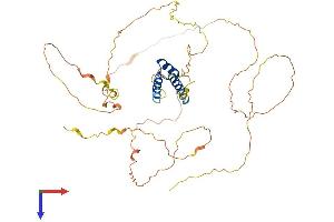 IRX2 Protein (AA 1-471) (His tag)