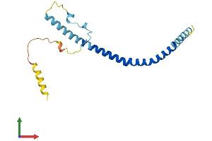 Protein Structure (PS) image for Caveolin 2 (CAV2) (AA 1-162) protein (His tag) (ABIN7556316)
