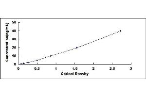 Typical standard curve (FBLN2 ELISA Kit)