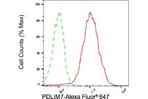 Flow cytometric analysis of PDLIM7 expression in HepG2 cells using PDLIM7 antibody (ABIN7799751), 1:2,000). (Rekombinanter PDLIM7 Antikörper)
