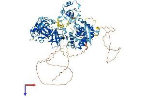 SFMBT1 Protein (AA 1-863) (His tag)