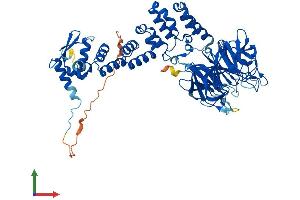 Protein Structure (PS) image for Kelch-Like 24 (KLHL24) (AA 1-600) protein (His tag) (ABIN7558836)