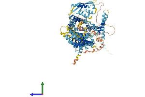 Protein Structure (PS) image for Sorting Nexin 13 (SNX13) (AA 1-957) protein (His tag) (ABIN7564136)