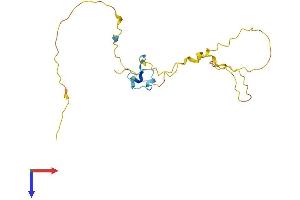 PRR3 Protein (AA 1-190) (His tag)