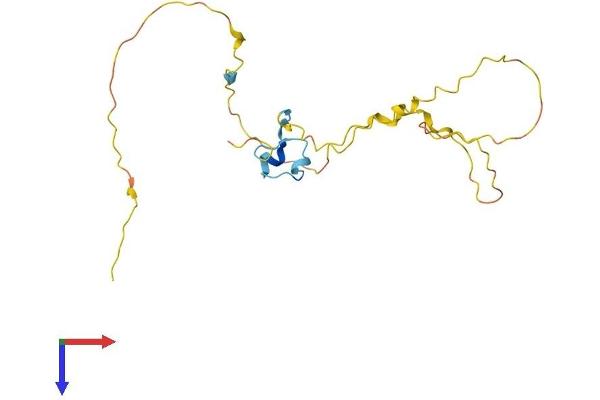 PRR3 Protein (AA 1-190) (His tag)