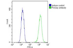 Overlay histogram showing C2C12 cells stained with (ABIN6242236 and ABIN6578878)(green line). (TUBB2A Antikörper  (AA 194-225))